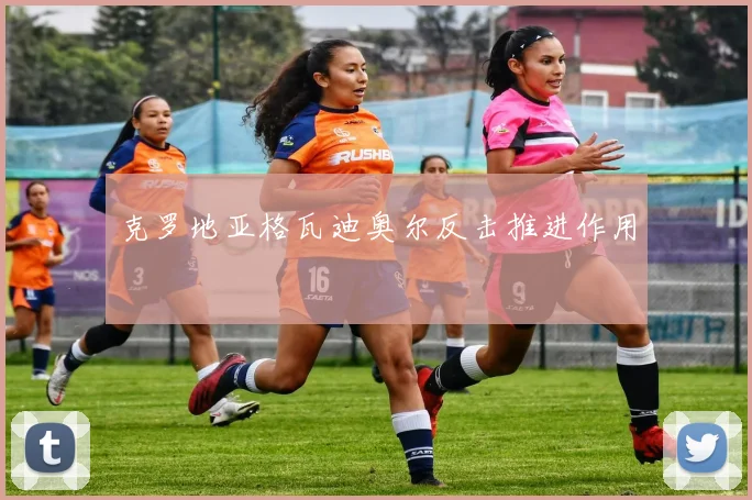 克罗地亚格瓦迪奥尔反击推进作用