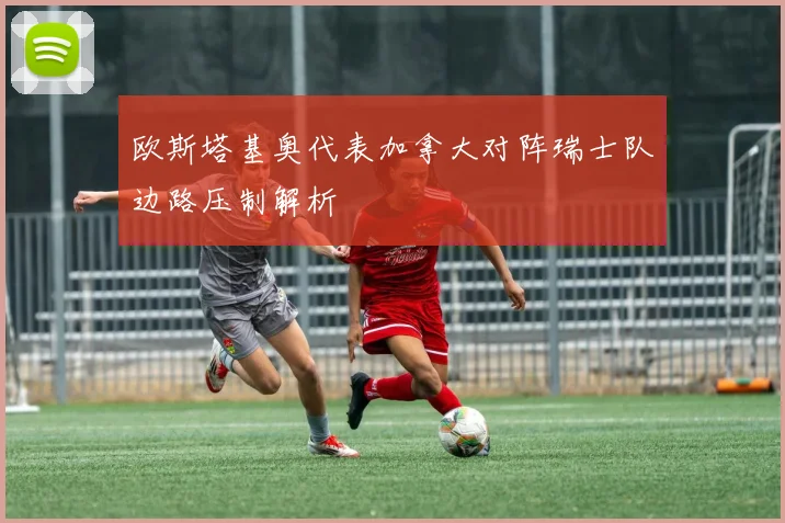 欧斯塔基奥代表加拿大对阵瑞士队边路压制解析