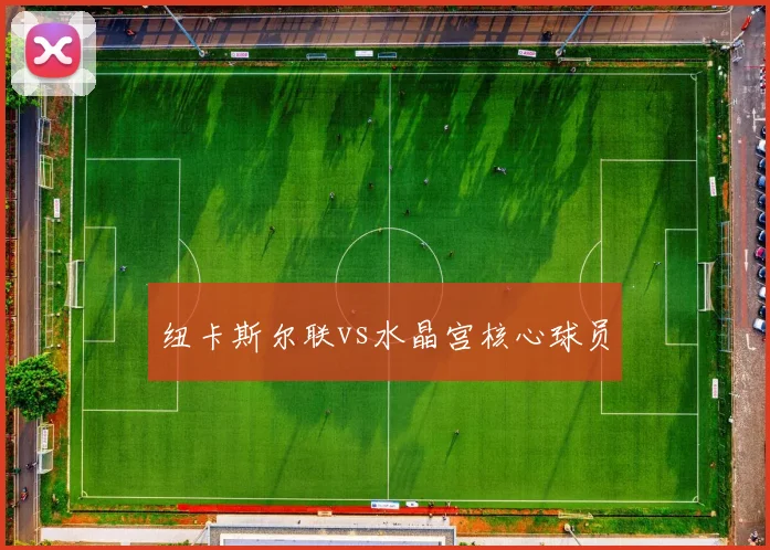 纽卡斯尔联vs水晶宫核心球员